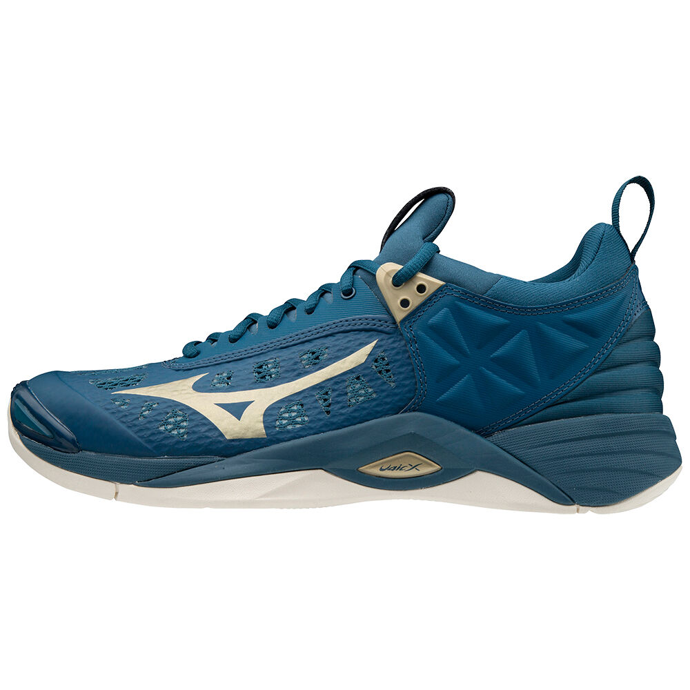 Zapatillas Voleibol Mizuno Wave Momentum Hombre Azules Comprar JHAB-75402